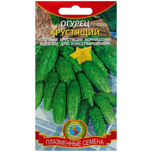 Семена Огурец 'Хрустящий', 4 г