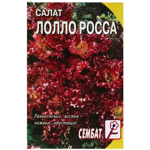 Семена Салат 'Лолло-росса', 0,2 г