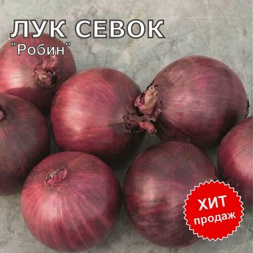 Лук севок на посадку 'Робин' 1 кг