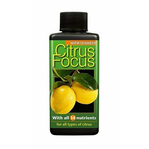 GT Citrus Focus для цитрусовых 300мл