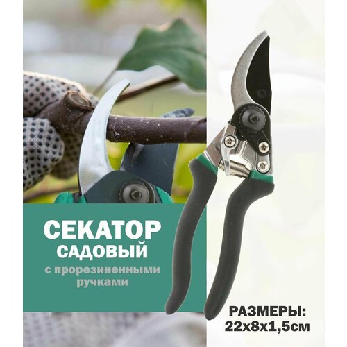 Секатор GIARDINO CLUB с прорезиненными ручками, 22х8х1,5 см