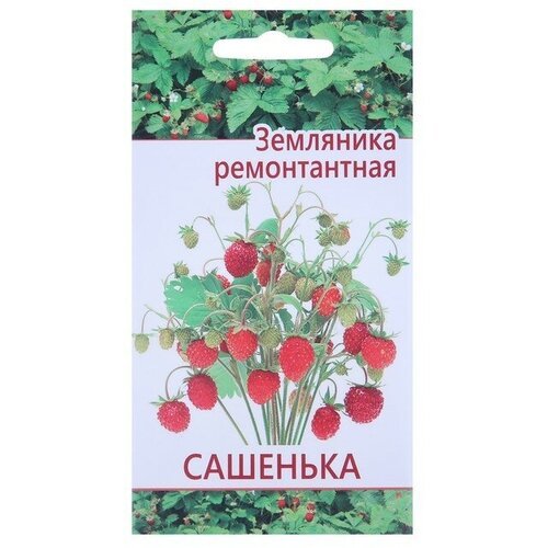 Добрый урожай Семена 'Растет дома и на даче' Земляника Сашенька 10 шт