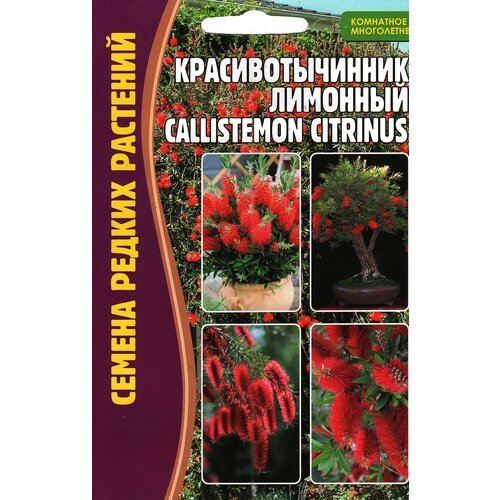 Красивотычинник Лимонный / CALLISTEMON CITRINUS, многолетник ( 1 уп: 0,1 г )