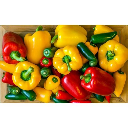 Перец сладкий Болгарский (лат. Bulgarian pepper) семена 25шт + подарочек