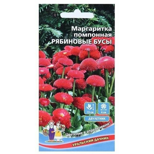 Семена цветов Маргаритка Рябиновые бусы, 0,03 г 8 упаковок