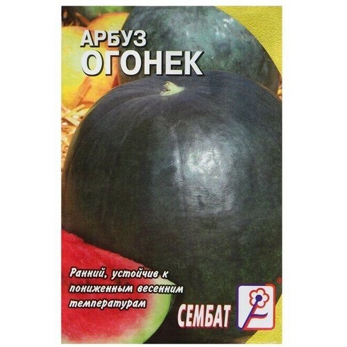 Семена Арбуз 'Огонек', 1 г (6 шт)