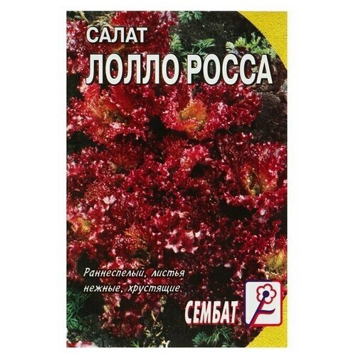 Семена Салат 'Лолло-росса', 0,5 г