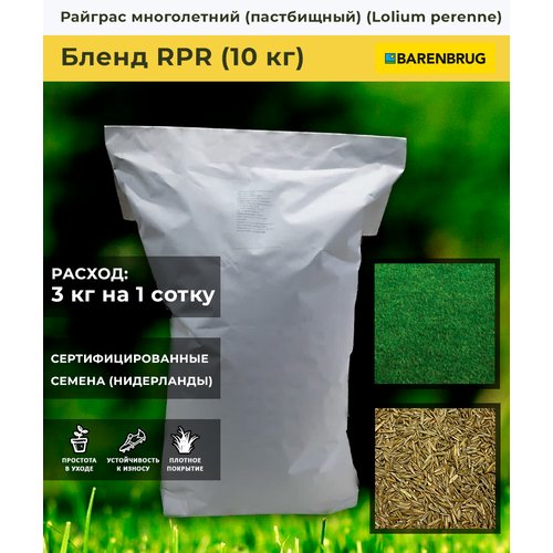 Райграс пастбищный ползучий RPR (10 кг)