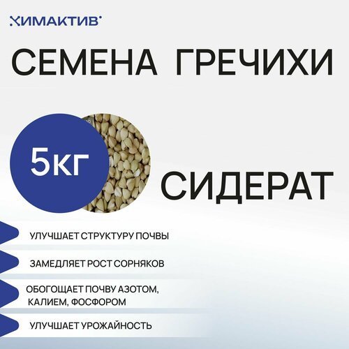 Семена гречихи (5 кг) сидерат, удобрение для растений