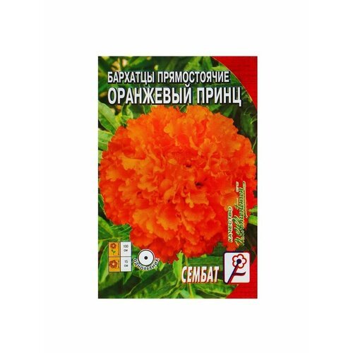 Семена цветов Бархатцы прямостоячие 'Оранжевый принц', О