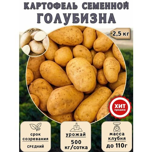 Клубни картофеля на посадку Голубизна (суперэлита) 2,5 кг Средний