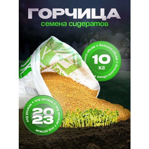 Семена Горчица 10 кг