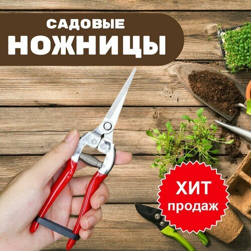 Ножницы садовые с фиксатором, секатор