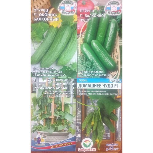 Набор из 4 пакетов семян огурцов для выращивания дома