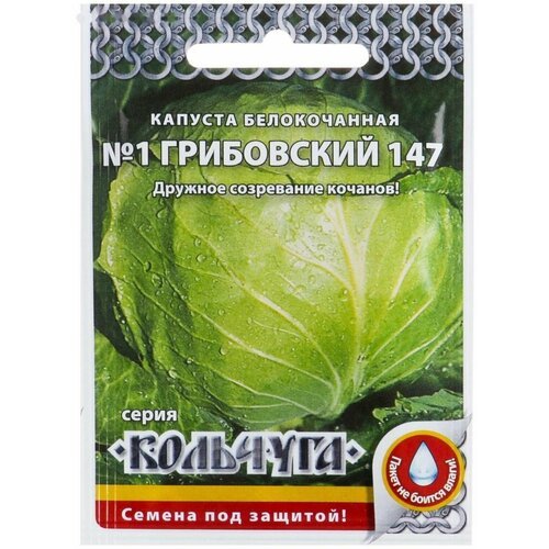 Семена Капуста белокочанная 'Номер первый Грибовский 147' серия Кольчуга, 0,5 г
