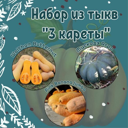 Набор из тыкв '3 кареты': Waltham Butternut, Мускадэ Агро, Pink Banana Jumbo + подарок